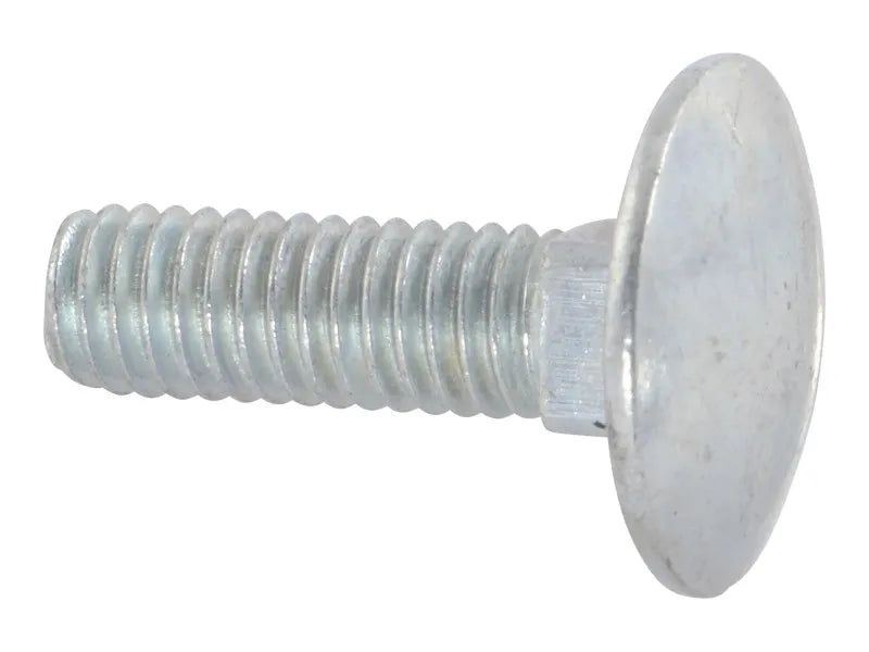 1001100451 Bolt, M6 X 20 Carriage | JLG