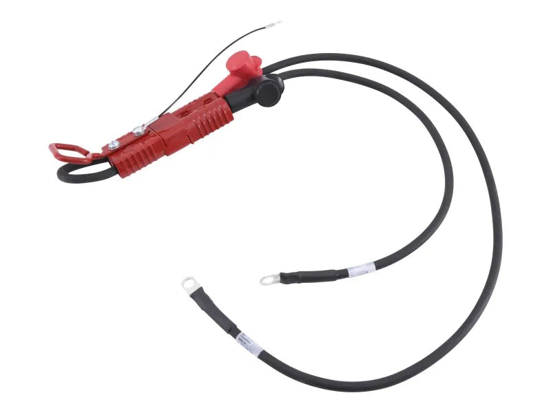 1001107805 Cable, Battery Disc | JLG