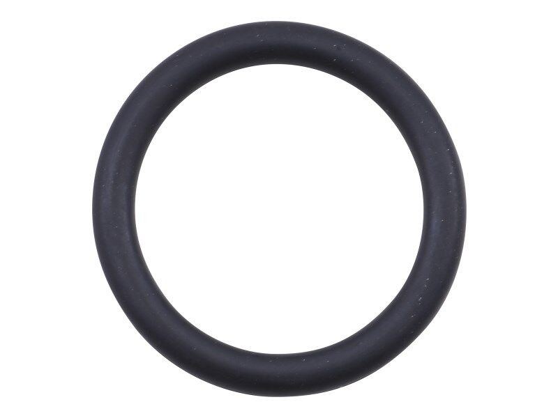 1001189025 O Ring