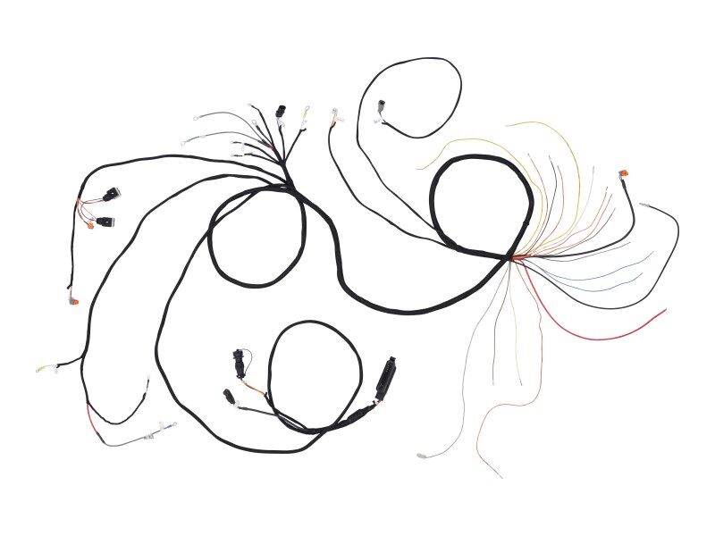 1001191868 Engine Harness