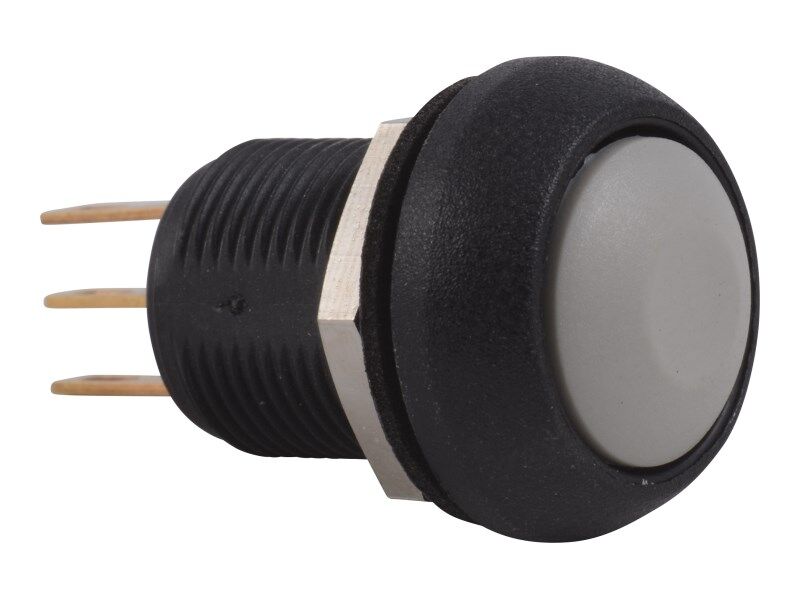 1001200633 Pushbutton Momentary Switch