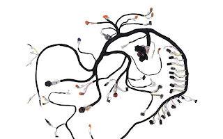 1001208593 Harness, Cab | JLG - BHE Parts Store