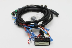 Part number 100698GT Harness Ecu Gr Ansi