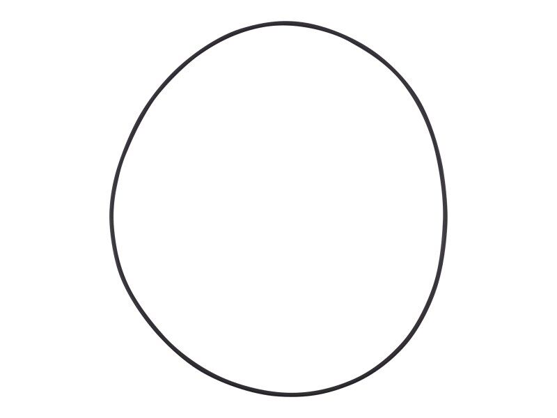 106123 O Ring End Cover