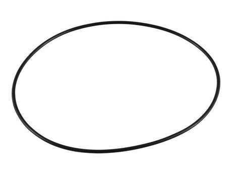 10726841 O-Ring