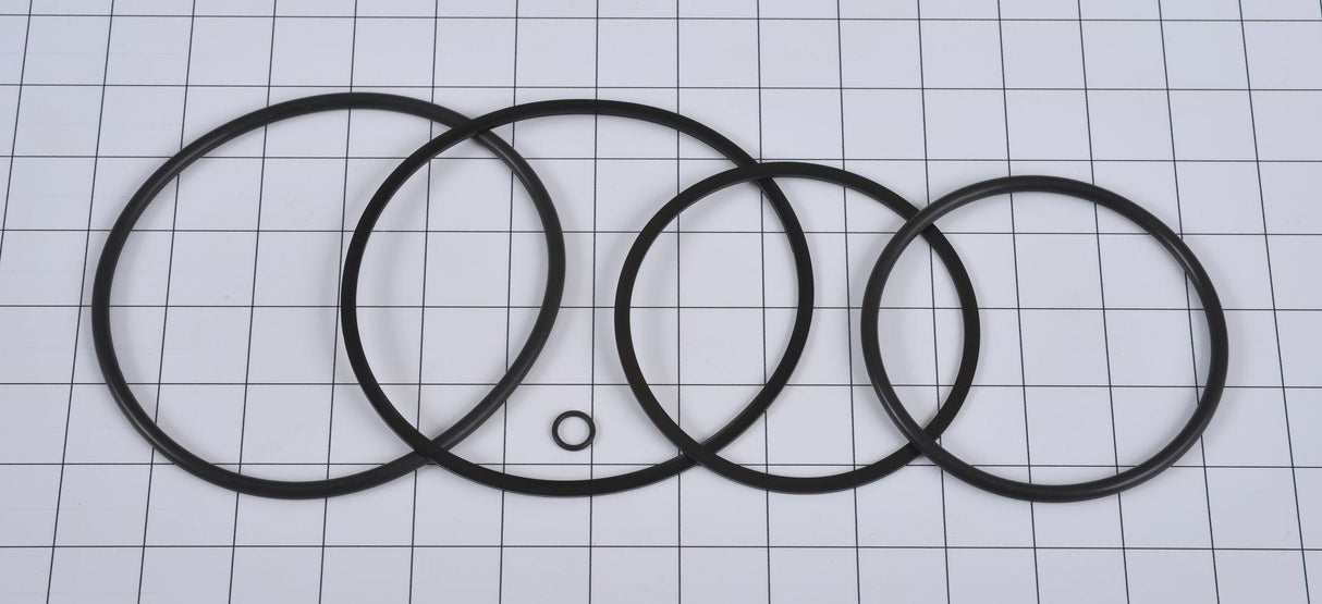 10731362 O-Ring Kit Hi-Press (Lull #P31362) | JLG