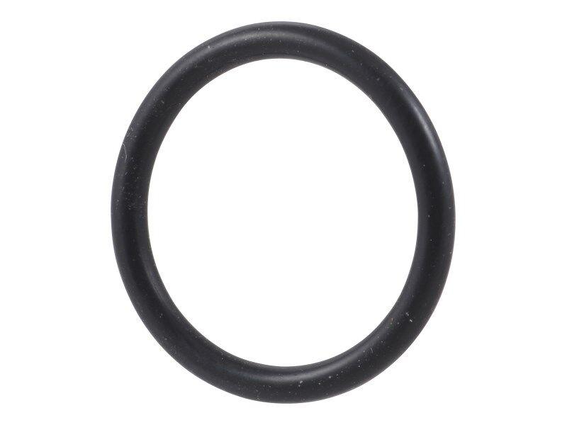 10732018 O Ring