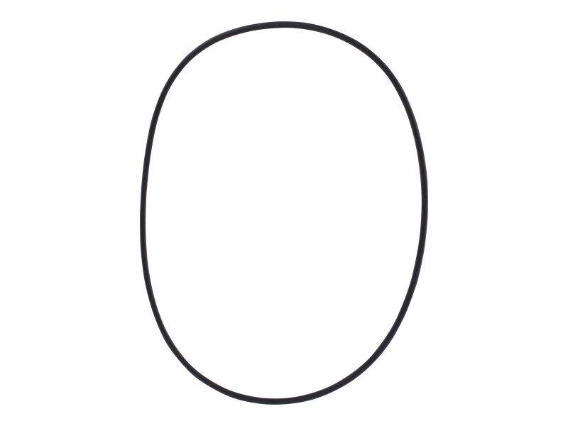 10732025 O Ring