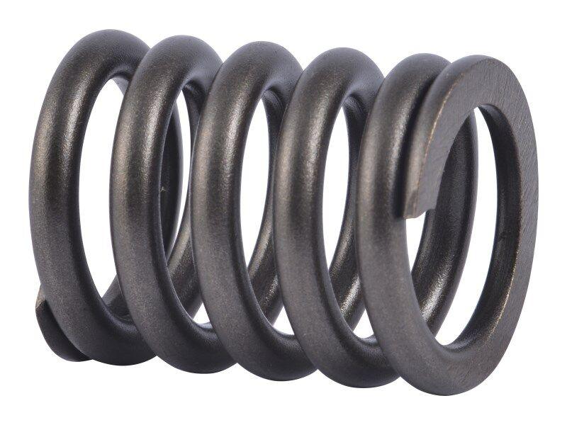 10837941 Spring