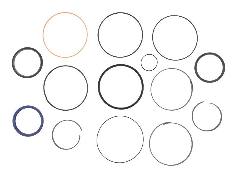 1102043 Seal Kit Cylinder | JLG