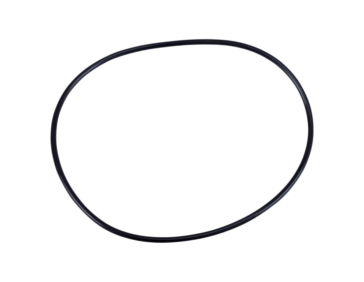 1317196 O Ring
