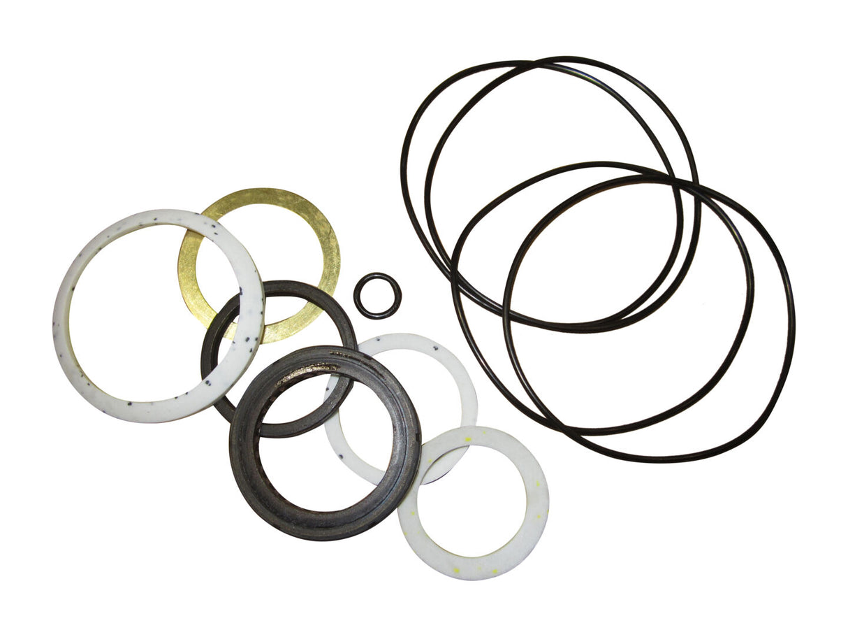 2900699 Seal Kit