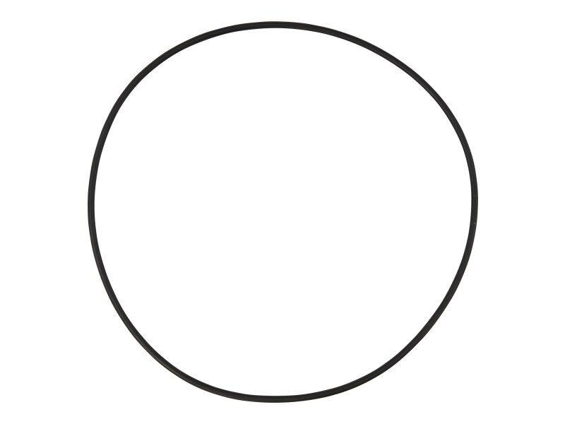 3790044 O Ring