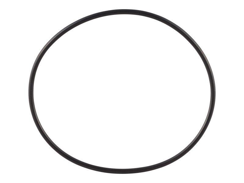 3790152 O Ring