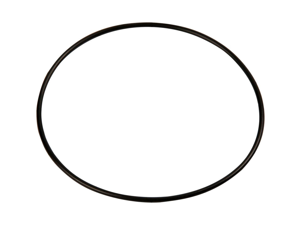 3790155 O Ring