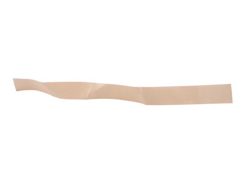 4280296 Strip Wear
