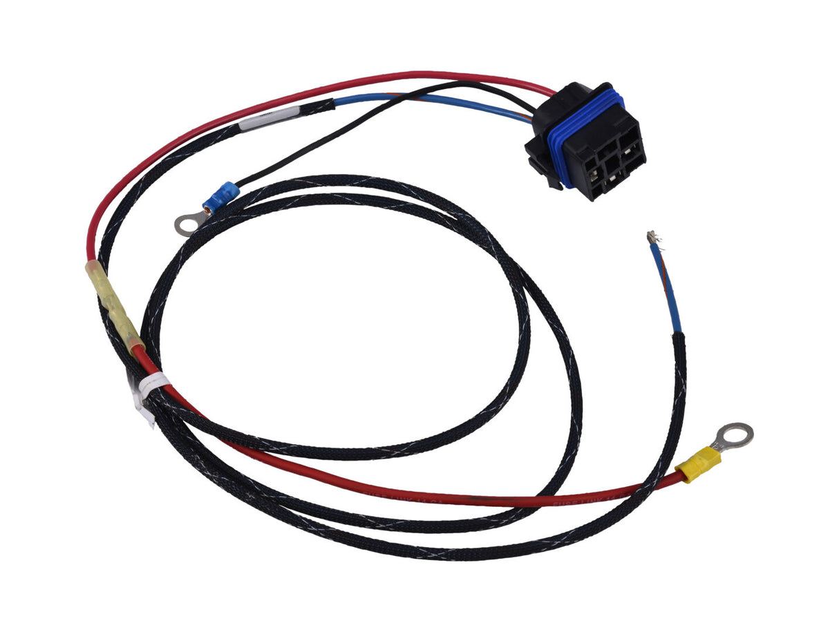 4922970 Engine Harness