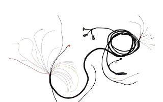 4923212 Harness, Engine 600S/Sj | JLG - BHE Parts Store