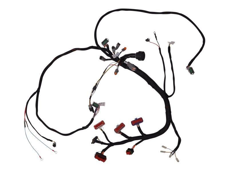 4923427 Frame Harness Assembly