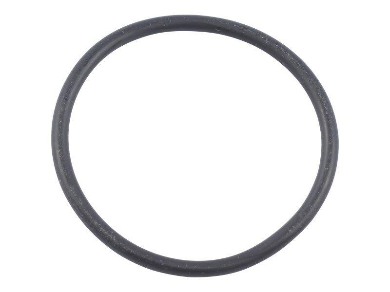 70000065 O Ring Filter Plug