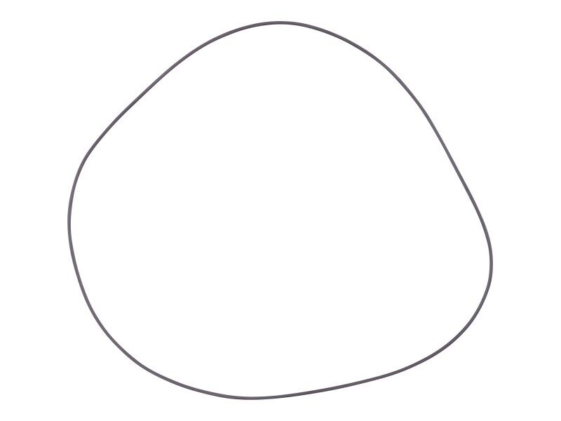 70000817 O Ring