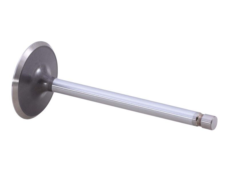 70001296 Valve, Intake | JLG