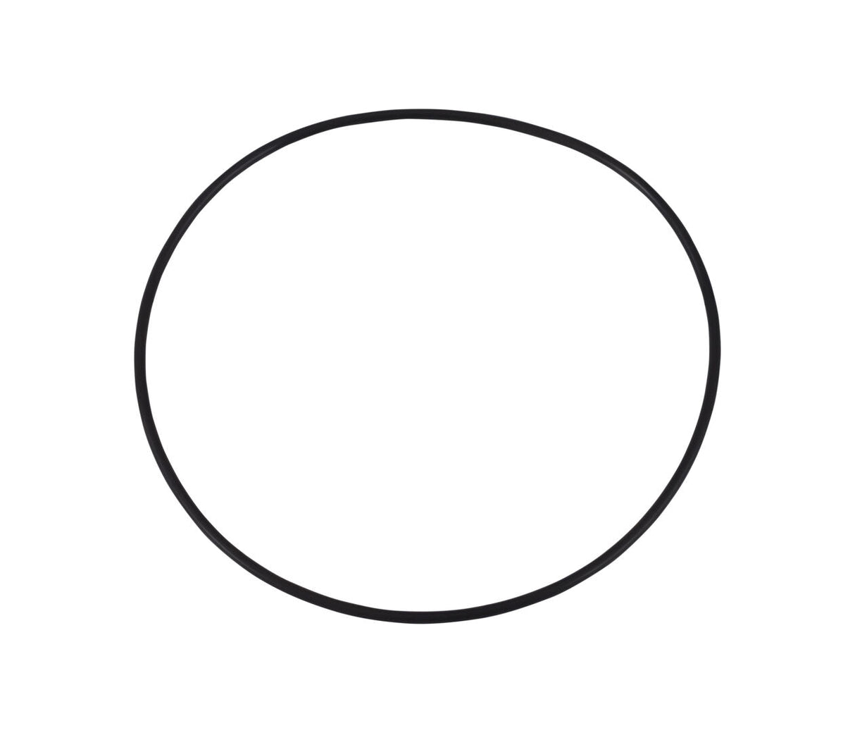 70002399 O-Ring | JLG