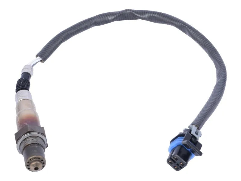 70006062 Sensor, Oxygen | JLG