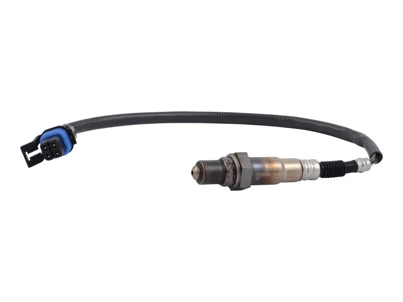 70006182 Sensor, Oxygen | JLG