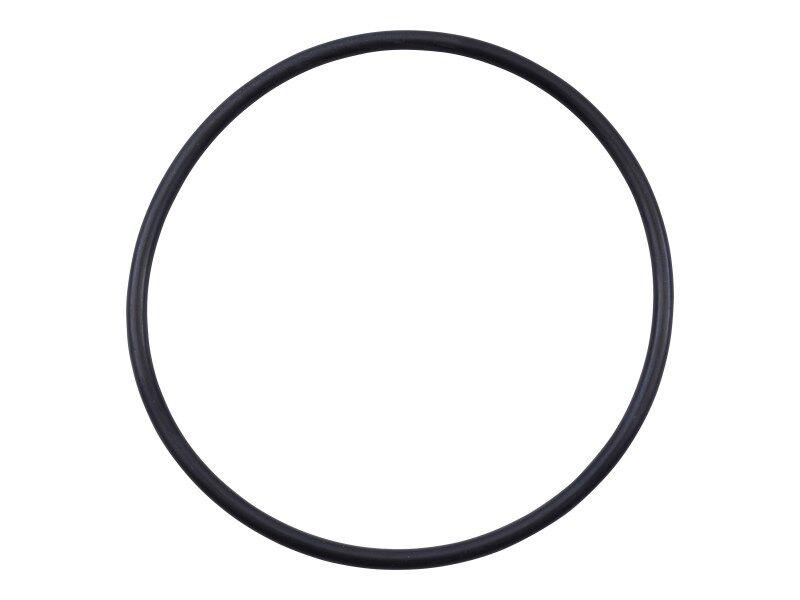 7000723 O Ring