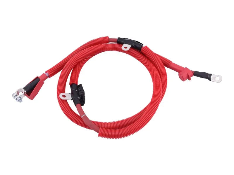 70009007 Cable, Battery | JLG