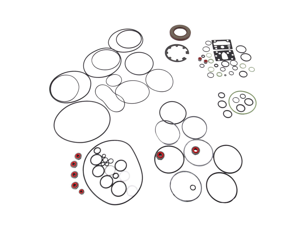 70020339 Seal Kit | JLG