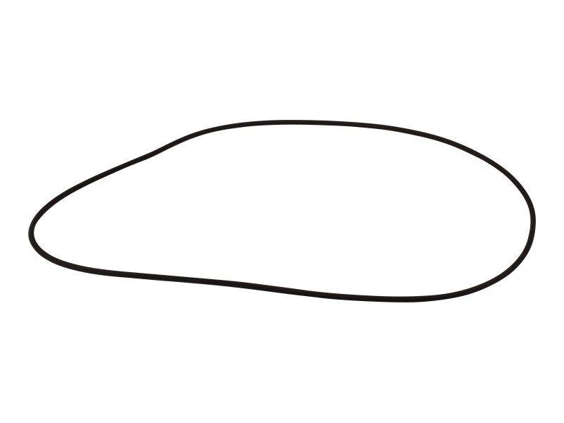 70021147 O Ring
