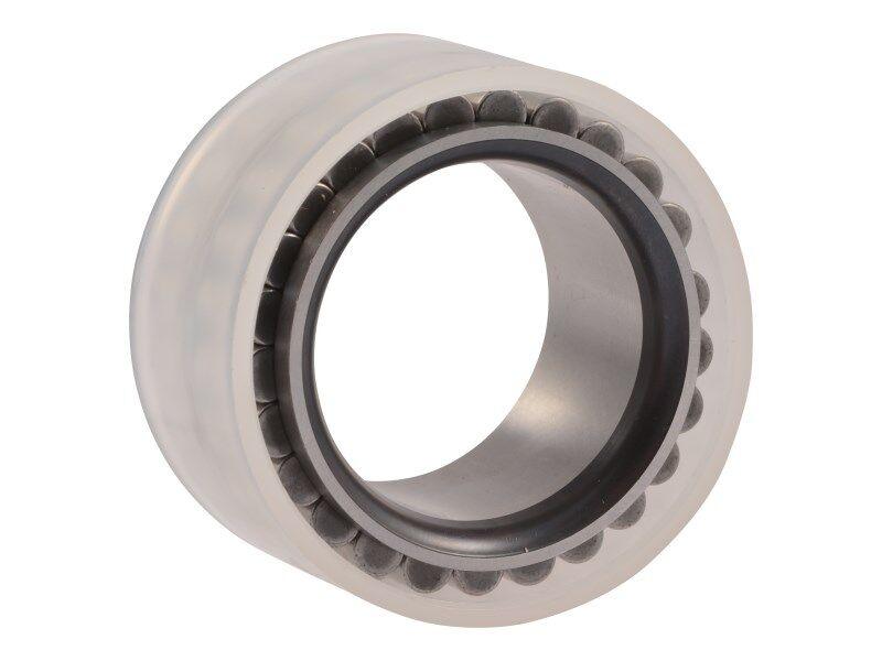 70022785 Cylinder Roller Bearing
