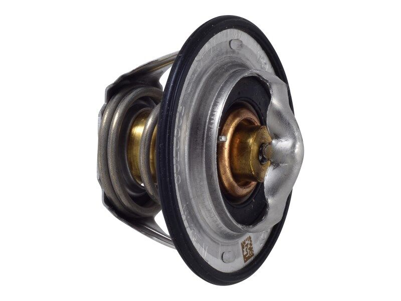 Part Number 70024313 Thermostat Kit fits JLG