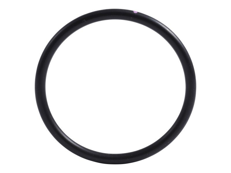 70025308 Thermostat Housing O Ring