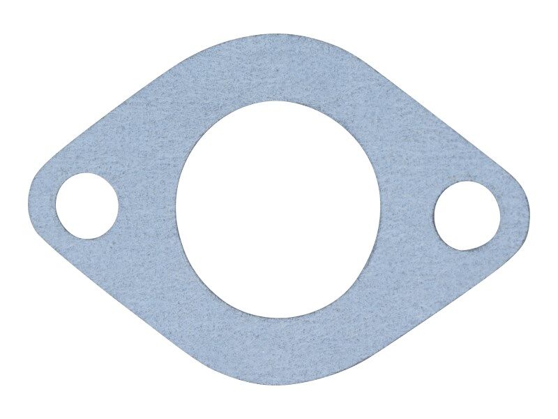 70025350 Gasket, Oil Drain | JLG