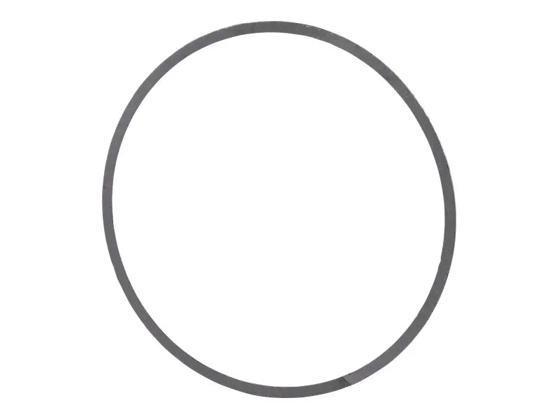 70029520 Gasket | JLG