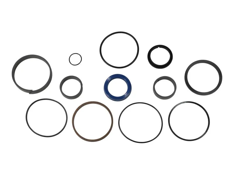 Part Number 70045585 Seal Kit 42409 Ele 3155 3461 fits JLG