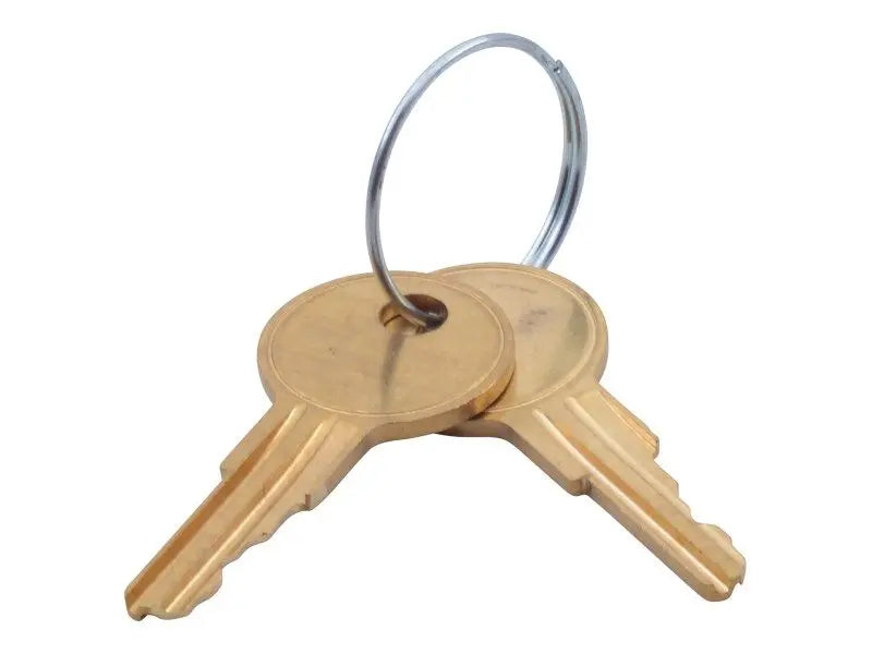 Part Number 7012587 Set of 2 Keys fits JLG