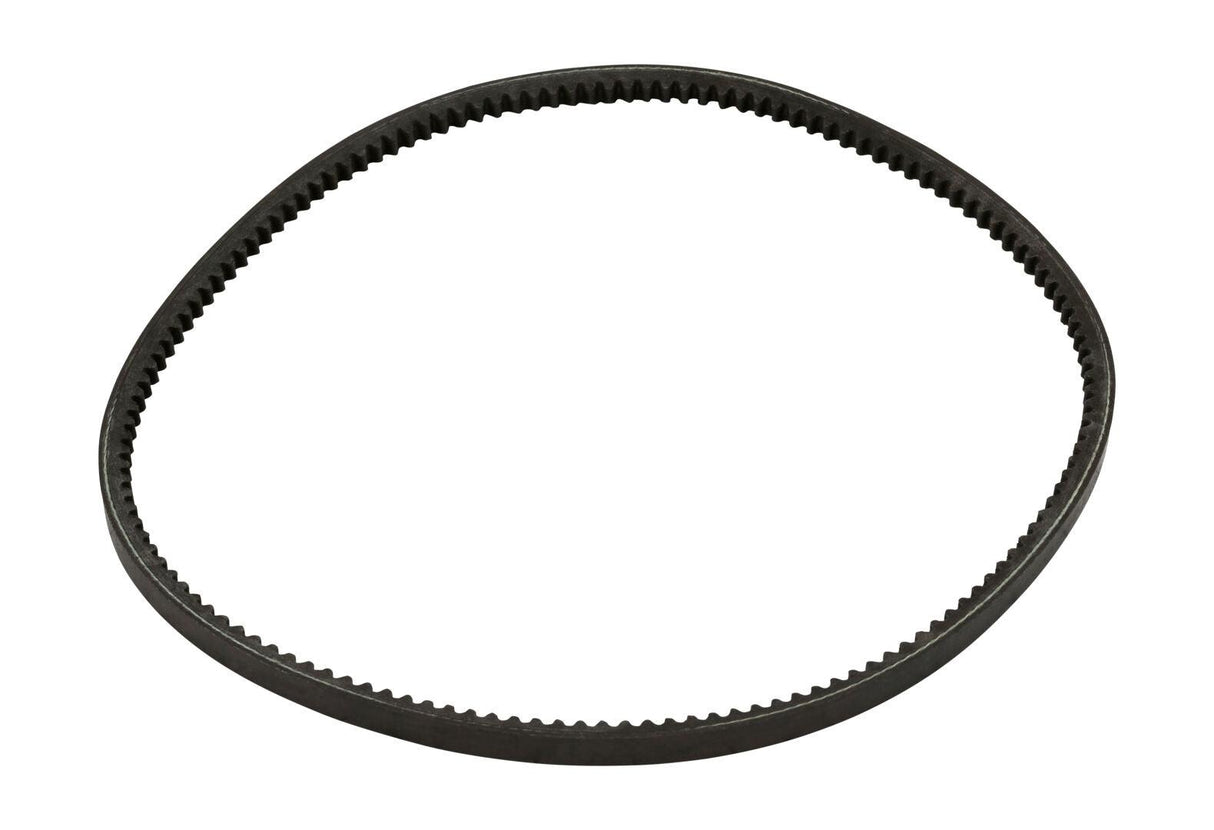 7019934 Belt Alternator