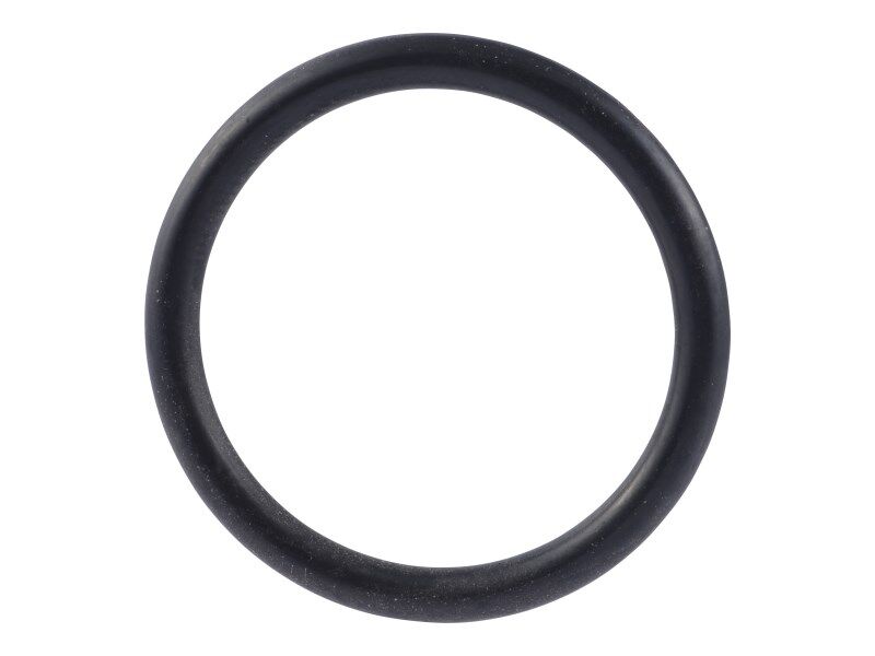 7024920 O-Ring | JLG