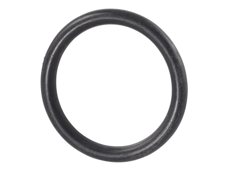 7026874 Seal, Fuel Pump | JLG