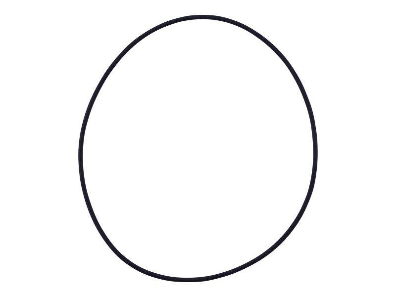 7029304 O Ring