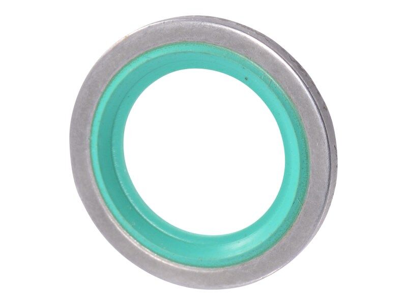 70400205 Sealing Ring | JLG