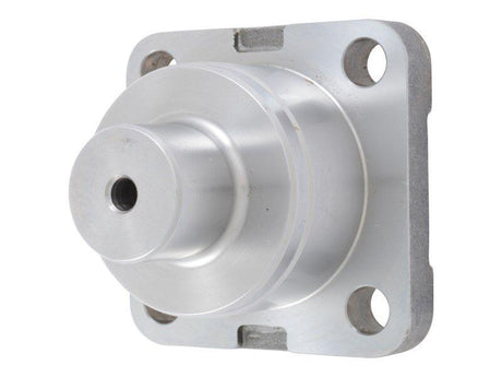 8032880 Cap King Pin