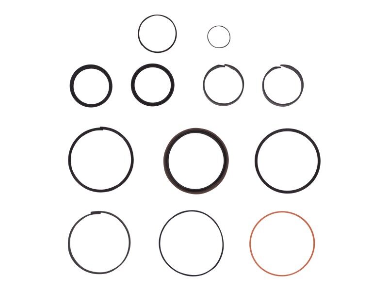 8036782 Seal Kit Lift/Lower Cylinder | JLG