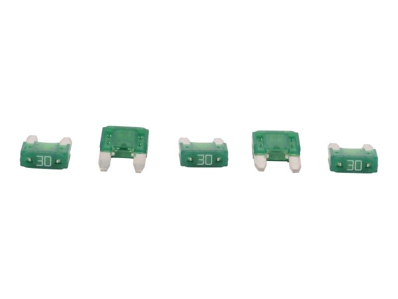 Part Number 8229245 Fuse, 30 Amp Minifuse fits JLG