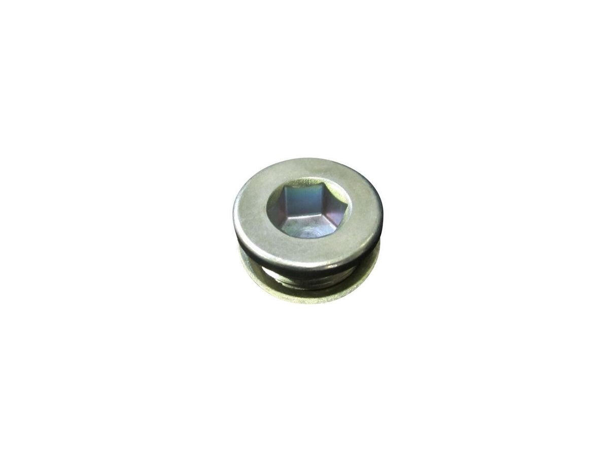 91514188 Plug with Sealing Washer