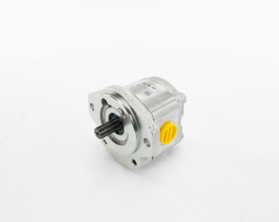 96193GT Pump, Function, GS Slabs Bosch